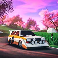 art of rally