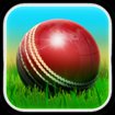 Cricket 3D World Street Challenge