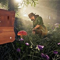 Forager's Finds