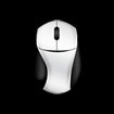 Mouse Clicker