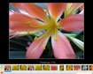 RslideShow